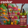 Difeel Pro-Growth with Castor Oil 3-PC Large Hair Care Set - Shampoo 33.8oz, Conditioner 33.8oz, & Hair Oil 8oz