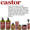 Difeel Castor Pro-Growth Shampoo 12 oz. & Conditioner 12 oz. (2-Piece Set)
