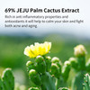 YADAH Cactus Body Lotion 6.76fl.oz.  69.58% of Cactus instead of Water, Vegan Paraben Free Non Sticky Moisturizing Emulsion for Dry Sensitive Skin