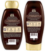 Garnier Whole Blends Haircare - Ginger Recovery - Strengthening Shampoo & Conditioner Set 12.5 FL OZ (370 mL)