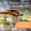 Healthspan Mushroom Complex | 30 Capsules | Immune Health | Added Vitamin B12 | Natural Mushroom Extracts-Reishi, Maitake & Shiitake | Vegan