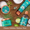Tree Hut Shea Moisturizing Body Lotion Coconut Lime, 9oz, Ultra Hydrating Body Lotion for Nourishing Essential Body Care (Pack of 2)