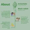 Artichoke & Black Radish Vegavero® | 7500mg | with 2.5% Cynarine & 2% of Flavones | Liver & Digestion | NO Additives | 90 Vegan Capsules