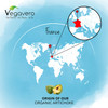 Organic Artichoke Vegavero® | 6500mg (10:1) High Strength Leaf Extract | 2.5% Cynarin | NO Additives | 120 Capsules | Vegan