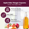 Apple Cider Vinegar Capsules 1300mg for Weight Loss, Natural Detox and Cleanse, Digestion Support, Immune Support - Apple Cider Vinegar Pills Supplement - Vegan Non-GMO & Gluten Free - 60 Capsule