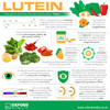Ov Oxford Vitality | Lutein Supplements | 10mg Tablets for Eye Health