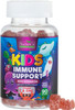 Kids Immune Support Gummy - with Vitamin C, Zinc & Echinacea - Tasty Fruit Flavored Vitamins, Non-GMO, Vegan, Natural Chewable Supplement for Children by Nature's Gummies - 60 Gummies