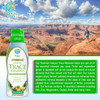 Tropical Oasis - Premium Ionized Plant Based Trace Minerals Liquid Formula- 74 essential minerals in liquid form for up to 96% Absorption - 16 oz, 32 servings