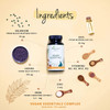 Vegan Essentials Vegavero® | Multivitamins & Minerals | with Omega 3, Vitamin B12, B2, D3, K2, Zinc, Iron and Iodine | NO Additives | Natural Support for a Vegan Diet