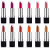 SHANY Slick & Shine Premium Lipstick Set - 12 pieces