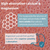 Calcium & Magnesium 2:1, Plant Based Algae Mineral Complex, Bone & Teeth Support, High Absorption Formula with Cofactors Boron, Vitamin D3 & K2, Vegan, 60 Tablets, by Igennus