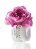 Chantecaille Rose De Mai Cream, 1.7 Oz