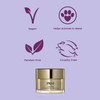PRAI Beauty 24K Gold Wrinkle Repair Night Creme - Anti-Aging & Anti-Wrinkle Creme - 1.7 Oz