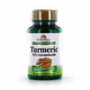 Turmeric Curcumin 60 Count By Windmill Health Products