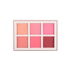 BC-BF01 : Floral Bloom Blush Palette 1 DZ