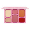 AM-COPRFD : Pink Ruby Blush & Highlighter Palette 6 PC