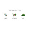 Cypress & Grapevine Cologne Intense