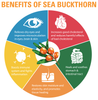 BHK's Sea Buckthorn Oil Softgels?Cellular Health?