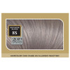 Fade-Defying + Shine Permanent Hair Color, 8S Soft Silver Blonde