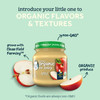Organic Baby Food Sweet Potato Apple Carrot & Cinnamon