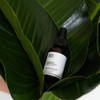 Vitamin C Serum in Oil