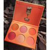 Juvia's Place The Saharan Blush Palette Vol. II