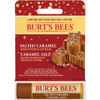 Burts Bees Salted Caramel Moisturizing Lip Balm Limited Edition