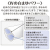 Shiseido Twin Pack Senka Perfect Whip 120g x 2 (Japan Import)