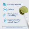 Vital Proteins Matcha Collagen Peptides Powder Supplement, Matcha Green Tea Powder, 10.5 oz, Original Flavored Vital Proteins Matcha Collagen Peptides Powder Supplement, Matcha Green Tea Powder, 10.5 oz, Original Flavored