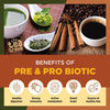 The Tea Trove Superbrew Prebiotic and Probiotic Coffee for Gut Health - Probiotic support a healthy digestive system and immunity