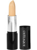 Odylique Concealer