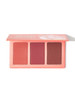 Sweet Cheeks Blush Trio-SunSet Cruise