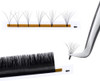 0.05 D Curl Volume Lash Extensions GEMERRY 8-14mm Mixed Tray Easy Fanning Lashes 2D 3D 4D 5D 10D-20D Rapid Blooming Mega Volume Eyelash Extensions Matte Black Professinal (0.05-D Curl, Mix 8-14mm)