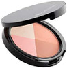 EVE PEARL Ultimate Face Compact And 204 Dual Fan Highlighter Brush Blush Highlighter Contour Eyeshadow Set Makeup Palette Light to Medium- Timeless