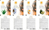 PetraSense Natural Dead Sea Mud Mask with Milk & Honey - pack of 12