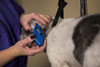 Wahl Professional Animal Pocket Pro Equine Compact Horse Trimmer and Grooming Kit, Blue (#9861-900)