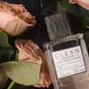 Clean Reserve Avant Garden unisex Eau de Parfum Nude santal & heliotrope 3.4 OZ