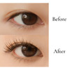 Dante One by one Lash Definer 401