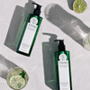 TITAD Deep Cleansing Shampoo Bergamot (Size Up)