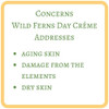 Wild Fern Manuka Honey Facial Moisturiser 75ml