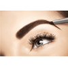 L'Oreal Paris Brow Artist Xpert Eyebrow Pencil