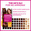 L'Oreal Paris Casting Crème Gloss Semi-Permanent Hair Dye Ammonia-Free Formula & Honey-Infused Conditioner Glossy Finish Colour for Up to 28 Shampoos Colour: 323 Dark Chocolate Brown