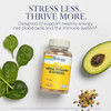 Solaray - Mega Vitamin B-Stress, Two-Stage Timed-Release, 120 VegCaps