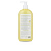 Redenhair ANTICASPA champU Anti-dandruff shampoo
