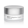 Singuladerm XPERT COLLAGENEUR cream dry skin Face moisturizer Anti aging cream & anti wrinkle treatment