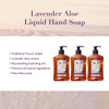 A LA MAISON Lavender Aloe Liquid Hand Soap - Triple French Milled Natural Moisturizing Soap (3 Pack, 16.9 oz Bottle)