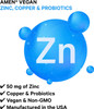 Amen Zinc & Copper Supplement + Probiotics, 3 Months Supply, One Per Day - 50 mg Zinc Picolinate Vitamin Pills - Essential Minerals Supplements  2 Billion CFUs Probiotic  Vegan, Non-GMO, 90 Capsules