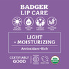 Badger - Lip Butter Trio Gift Box, Moisturizing Organic Coconut Oil, Beeswax, Sunflower - Contains 1 Unscented , 1 Sweet Orange, and 1 Cool Mint Lip Butter