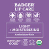 Badger Classic Lip Red Gift 3Pk, 1 EA