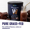 Biochem 100% Whey Isolate Protein - Chocolate -- 30.9 oz